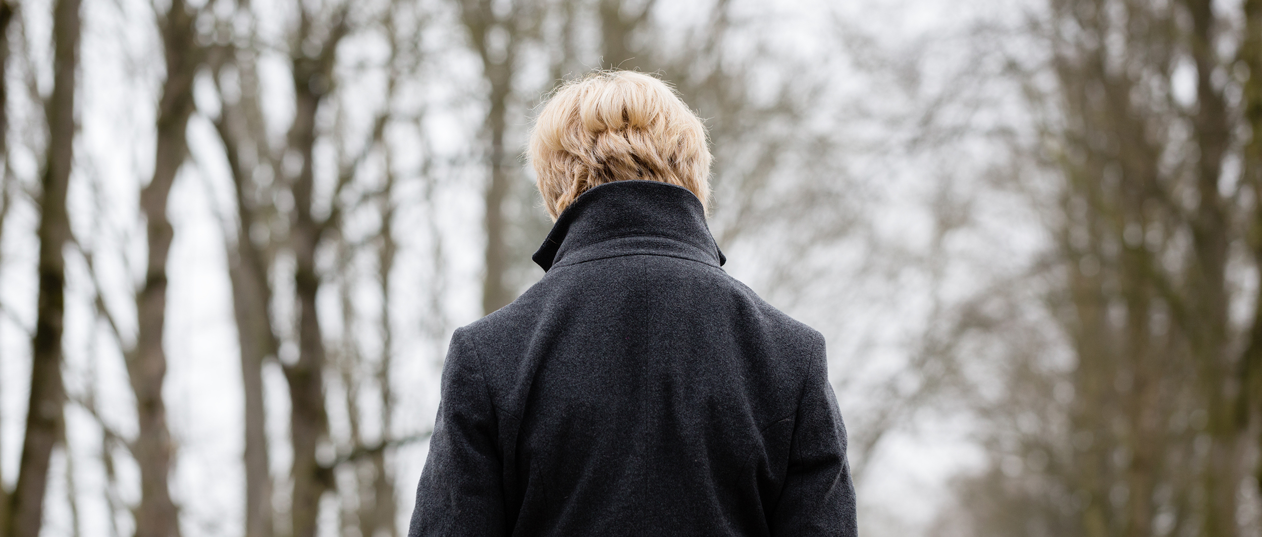 rear of person walking through forest in winter