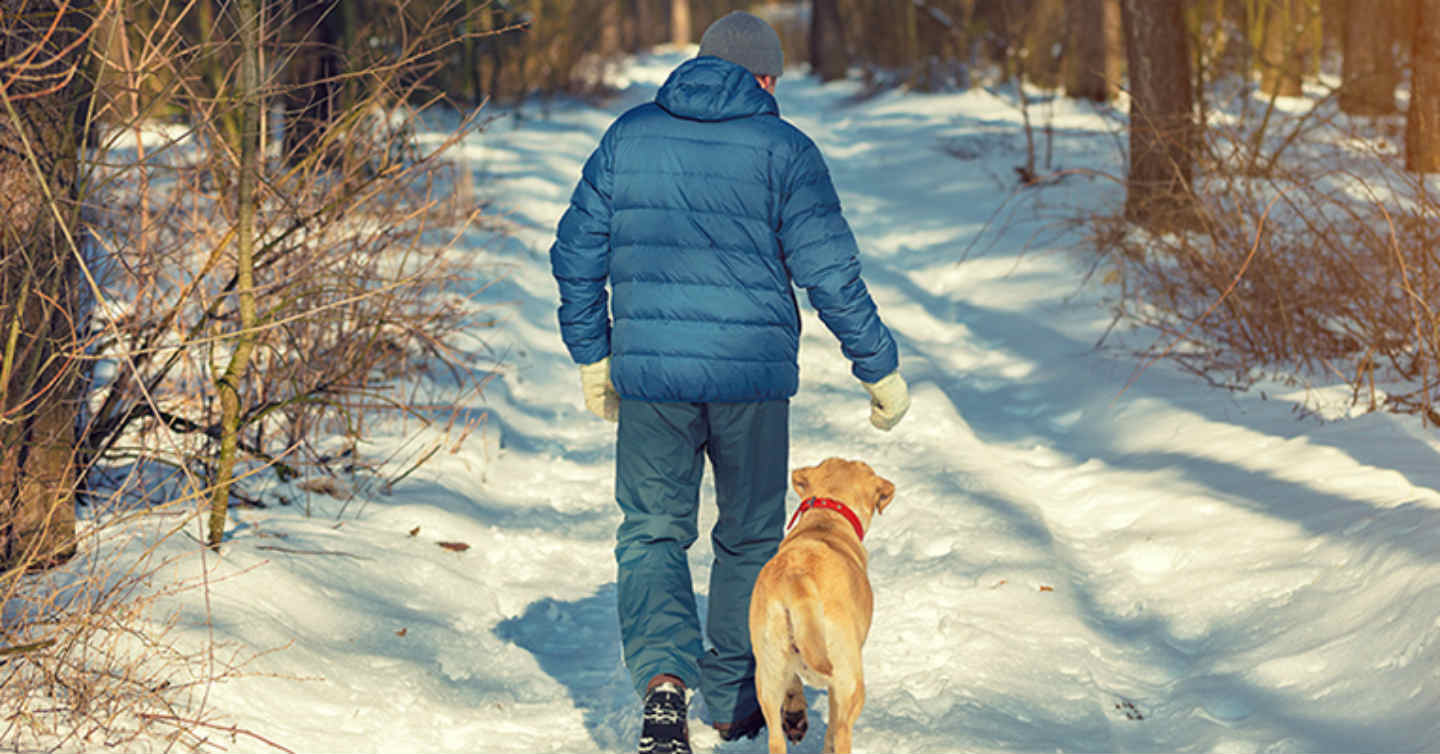 rear shot of man walking with dog into woods