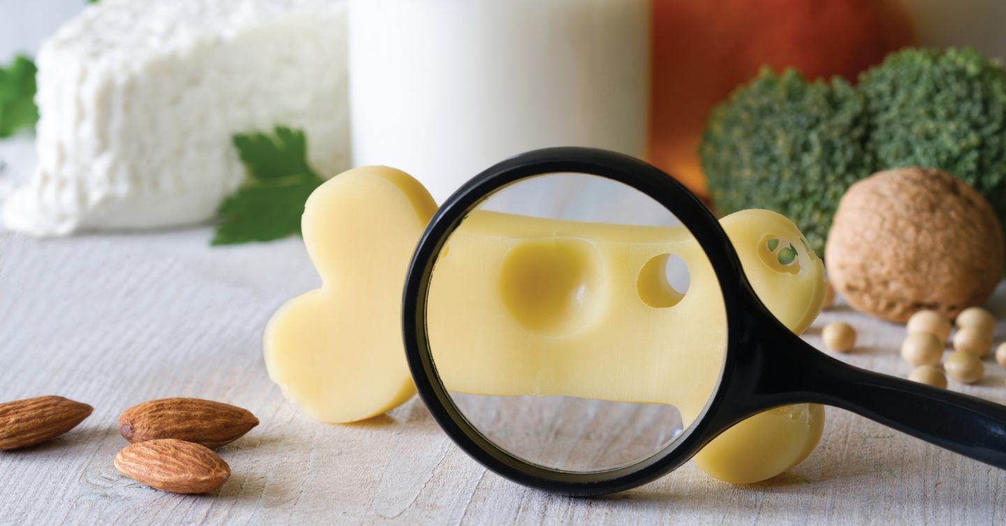 a magnifying glass looking at swiss cheese in the shape of a bone
